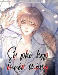Bìa truyện Sự Phù Hợp Muộn Màng
