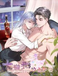 Bìa truyện Bí Mật Nhỏ Của Ngỗng Trắng