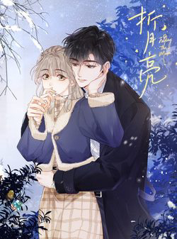 Bìa truyện Chiết Ánh Trăng