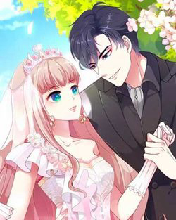 Bìa truyện Băng Sơn Tổng Tài Sủng Thê Đến Vô Đạo