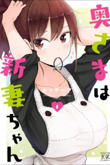 Bìa truyện My Wife is Niizuma-chan