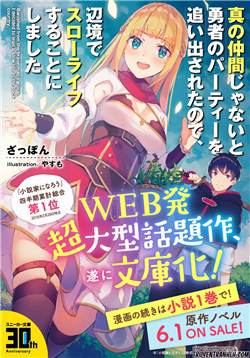 Bìa truyện Shin No Nakama Janai To Yuusha No Party Wo Oidasareta No De Henkyou De Slow Life Suru Koto Ni Shima