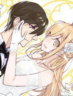 Bìa truyện Tình Yêu Chớp Nhoáng