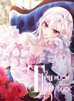 Bìa truyện Tiểu Thư Muốn Được Nghỉ Ngơi