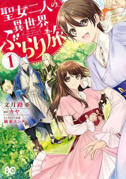 Bìa truyện Two saints wander off in the different world