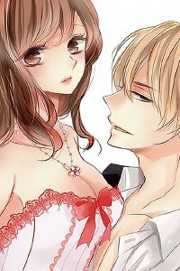 Bìa truyện Dekiai No Himitsu