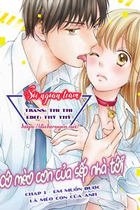 Bìa truyện Cô mèo con của sếp nhà tôi