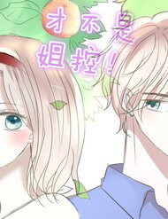 Bìa truyện Tôi Không Cuồng Chị Gái