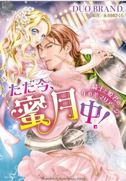 Bìa truyện Mối tình lệch tuổi của chàng kị sĩ và nàng tiểu thư quý tộc