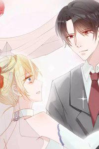 Bìa truyện Trọng Sinh Siêu Sao - Lăng Thiếu Sủng Nghiện