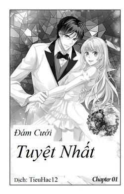 Bìa truyện Đám Cưới Tuyệt Nhất
