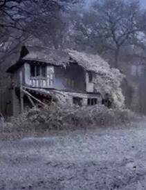 Bìa truyện Ngải! Cuộc Đời Của Tôi (Phiên Bản Chính Thức) ...