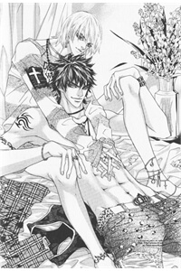 Bìa truyện The Summit