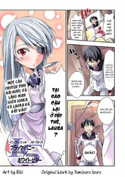 Bìa truyện Infinite Stratos: Black Bunny-white Bitter