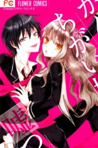 Bìa truyện Kanchigai Hime To Usotsuki Shimobe