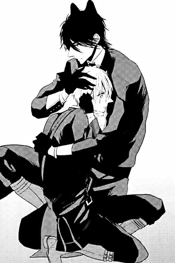 Bìa truyện Sói Đen Và Cáo Bạc