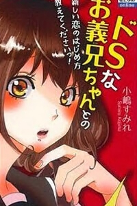Bìa truyện Do S na Oniichan to no Atarashii Koi no Hajimekata Oshiete Kudasai!