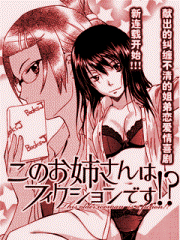 Bìa truyện Kono Oneesan wa fliction desu!?