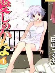 Bìa truyện Itoshi no Kana