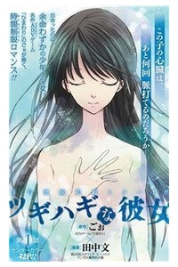 Bìa truyện Tsugihagi na Kanojo