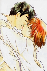 Bìa truyện Sukijanai Kedo Aishiteru