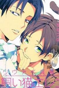 Bìa truyện Đại chiến Titan - Doujinshi LeviEren