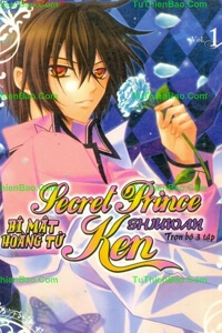 Bìa truyện Bí mật hoàng tử