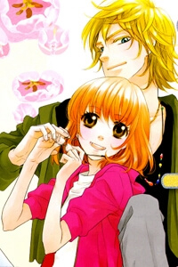 Bìa truyện Sengoku Danshi Hana no Ran