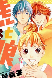 Bìa truyện Tora to Ookami