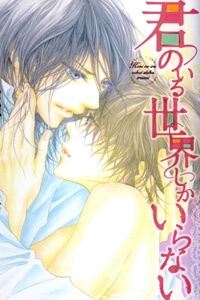 Bìa truyện Kimi No Iru Sekai Shikairanai