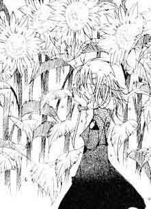 Bìa truyện Sunflower