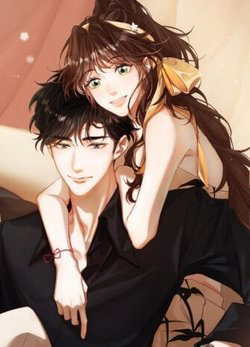 Bìa truyện Thỉnh Đa Loan Chiếu