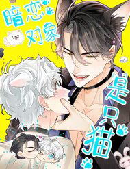 Bìa truyện Crush Của Tôi Là Mèo