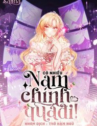 Bìa truyện Có Nhiều Nam Chính Quá Đi!